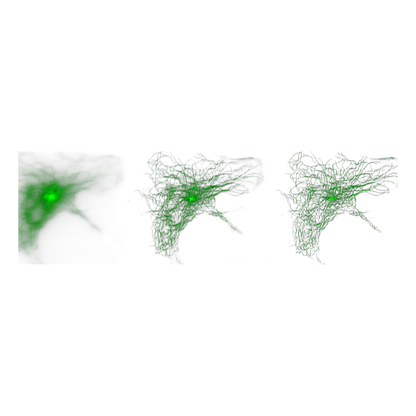 picture4_CrestDeepSIM