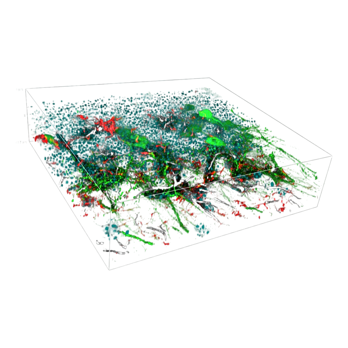 picture2_DeepSIMXlight