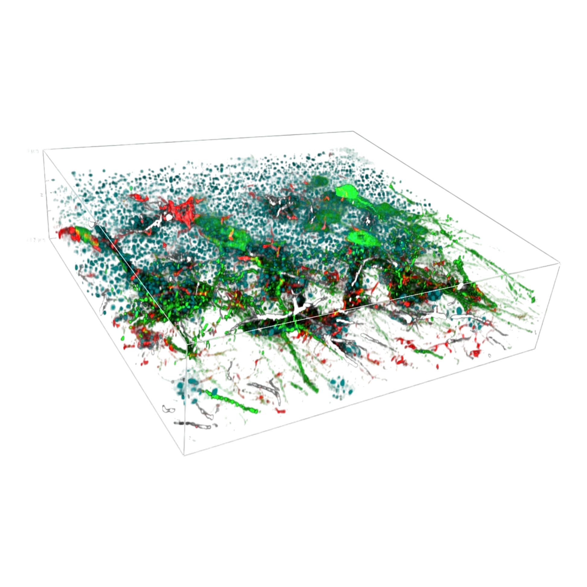picture2_DeepSIMXlight