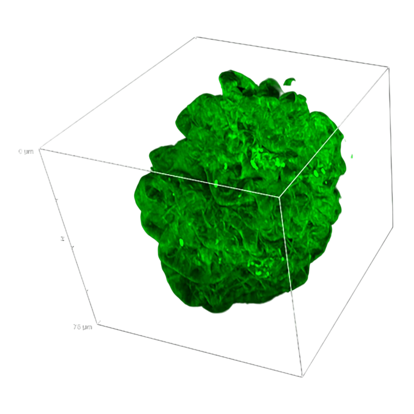 picture3_DeepSIMXlight
