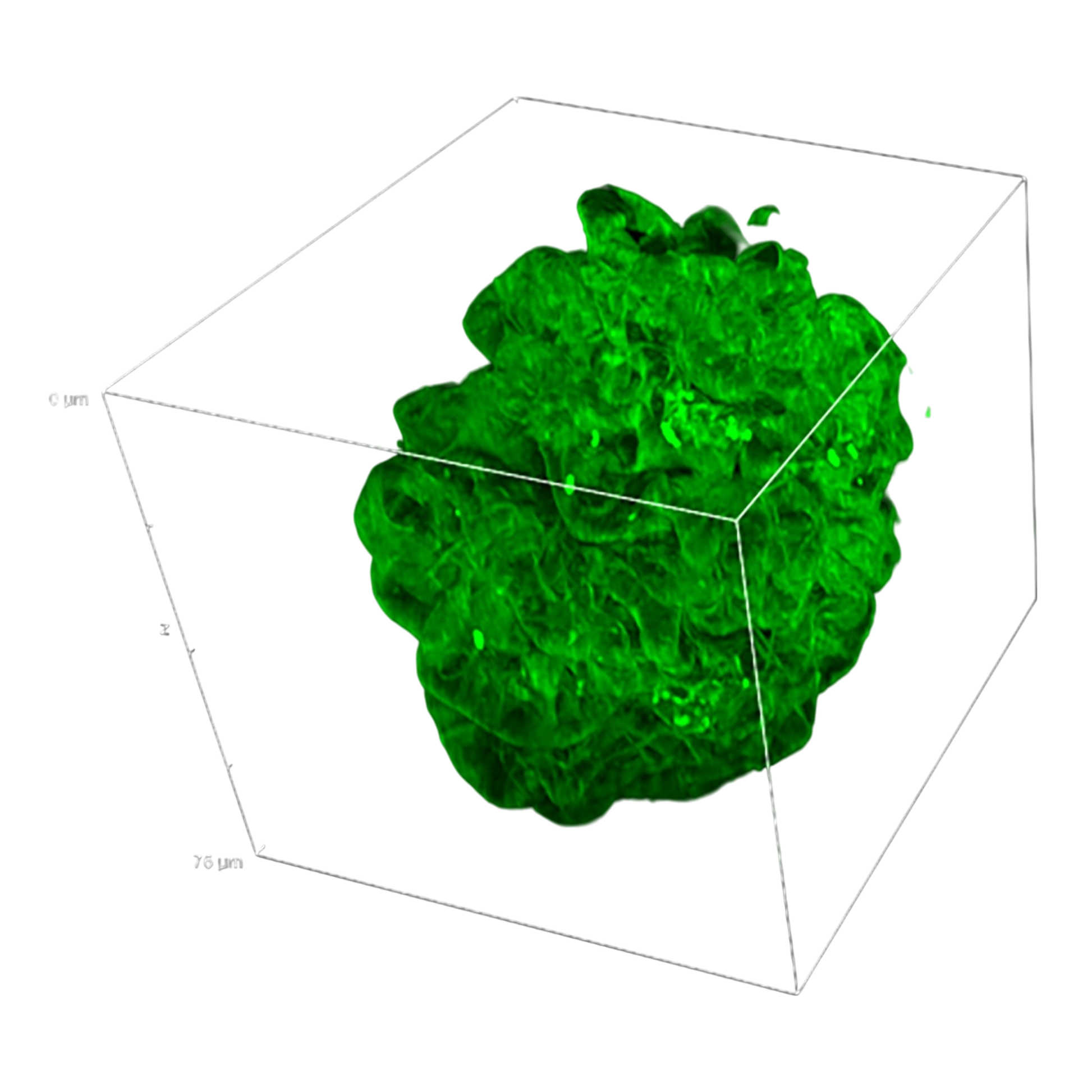 picture3_DeepSIMXlight
