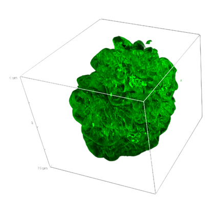 picture3_DeepSIMXlight