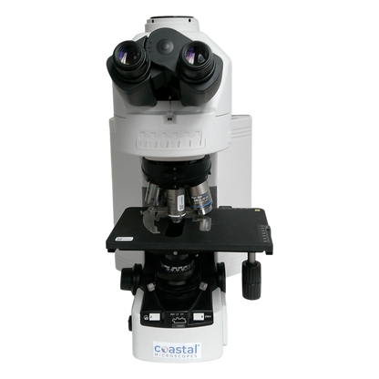 picture2_52026